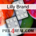 Lilly Brand 17